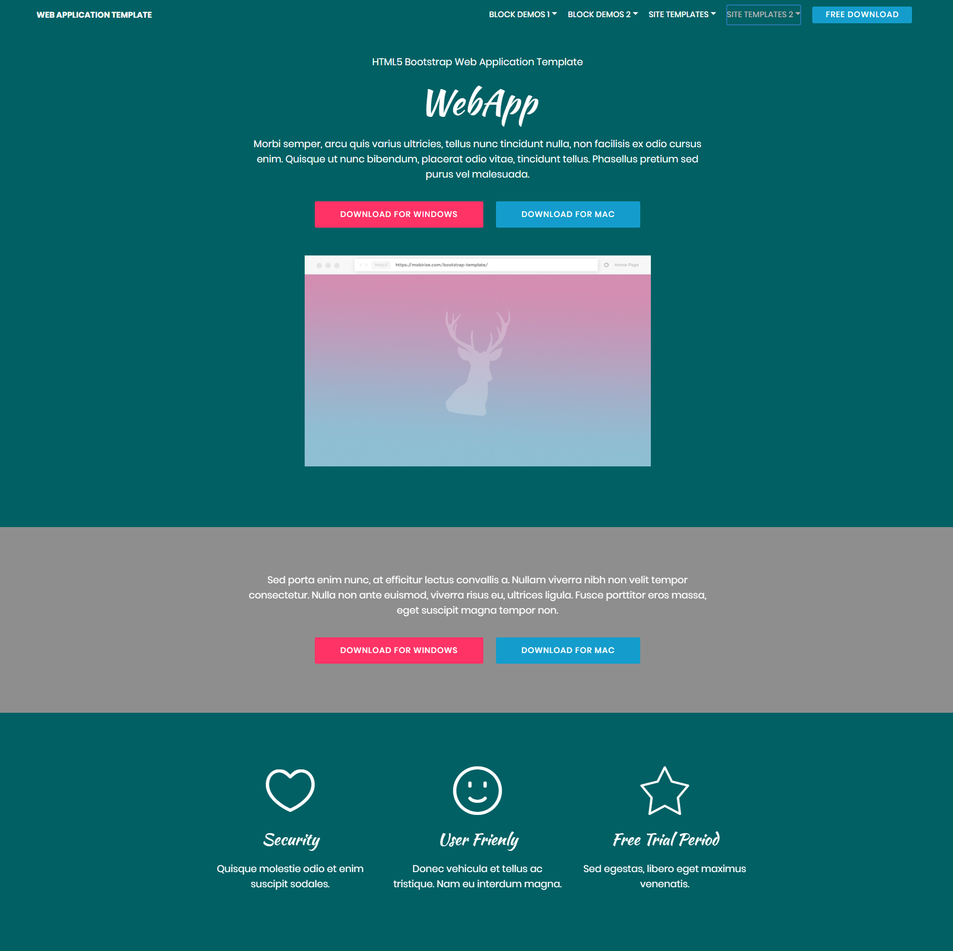 CSS3 Bootstrap Web application Templates