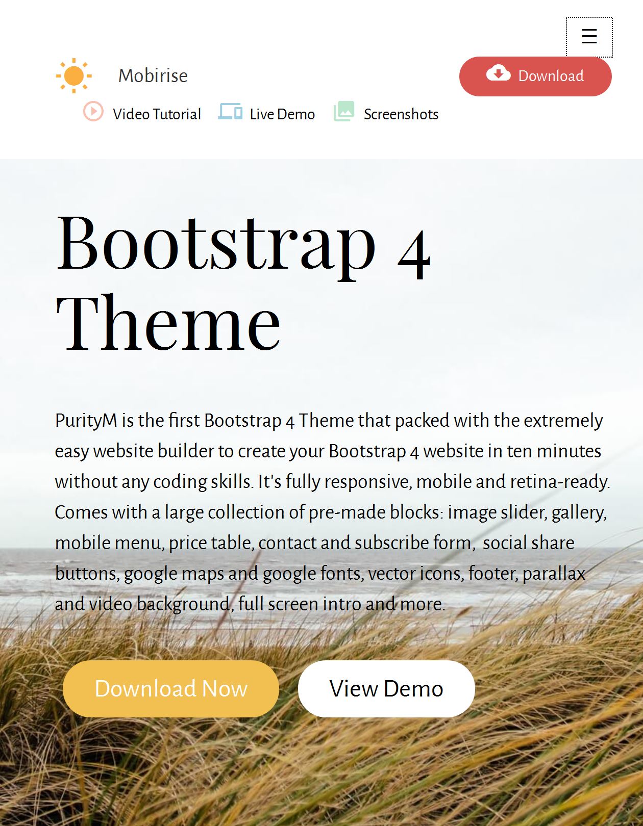 Bootstrap Design Template