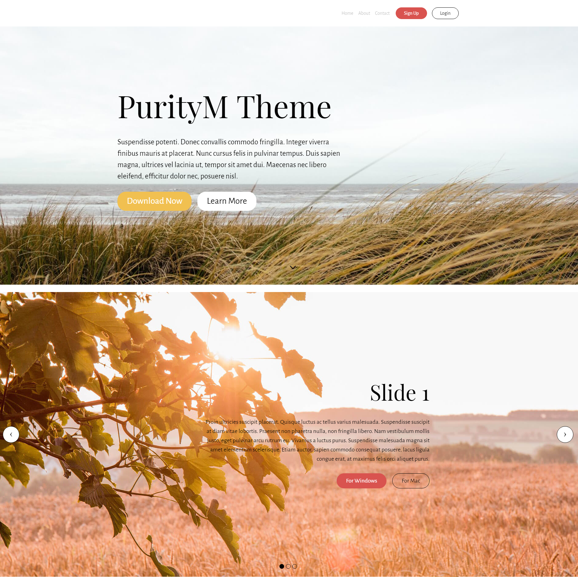 Responsive Bootstrap PurityM Templates